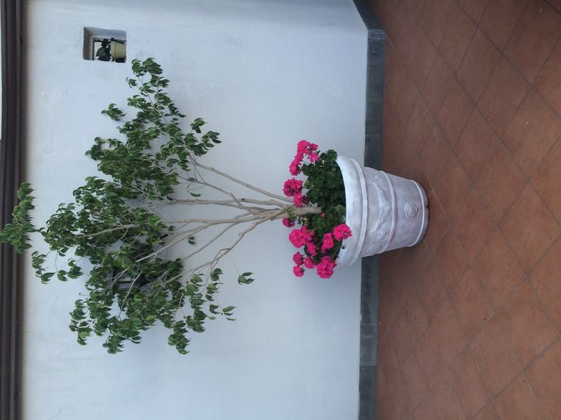 Hotel Margherita Napels